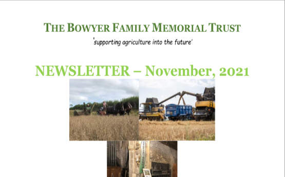 Newsletter (Download)