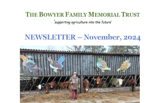 Newsletter (Download)