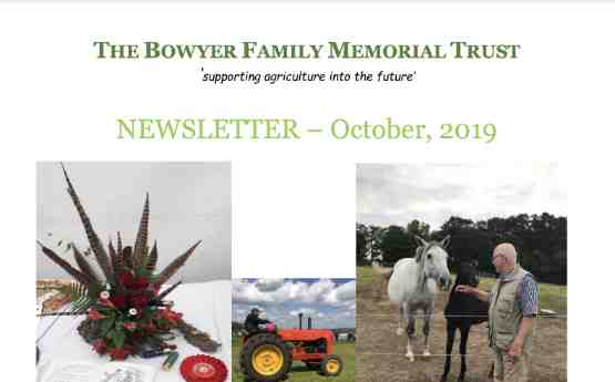 Newsletter (Download)